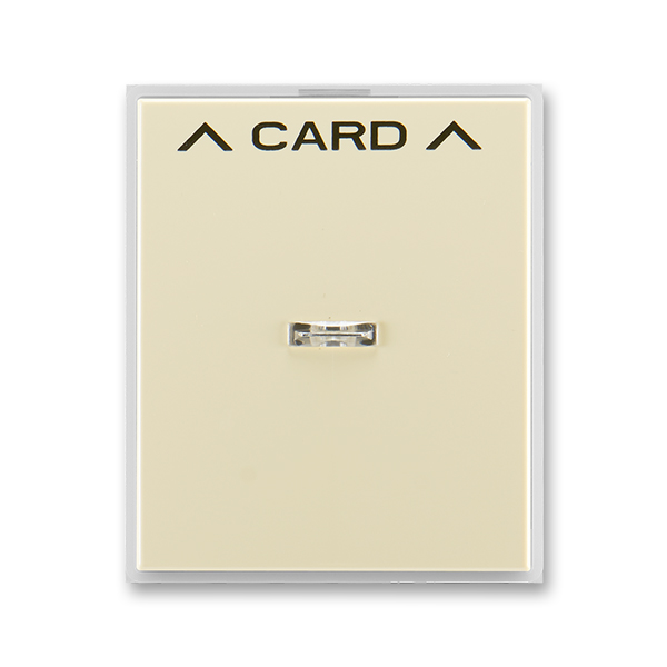 3559E-A00700 21  Kryt spínače kartového, s čirým průzorem, s potiskem, slonová kost / ledová bílá